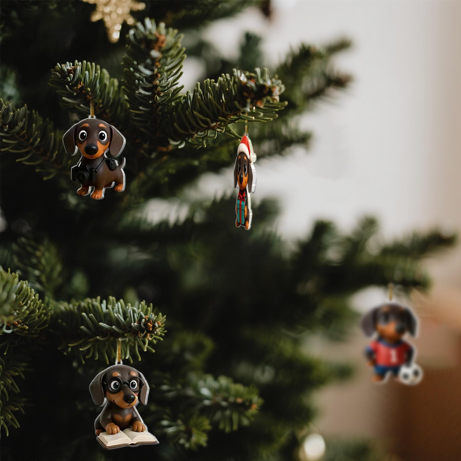 View 4