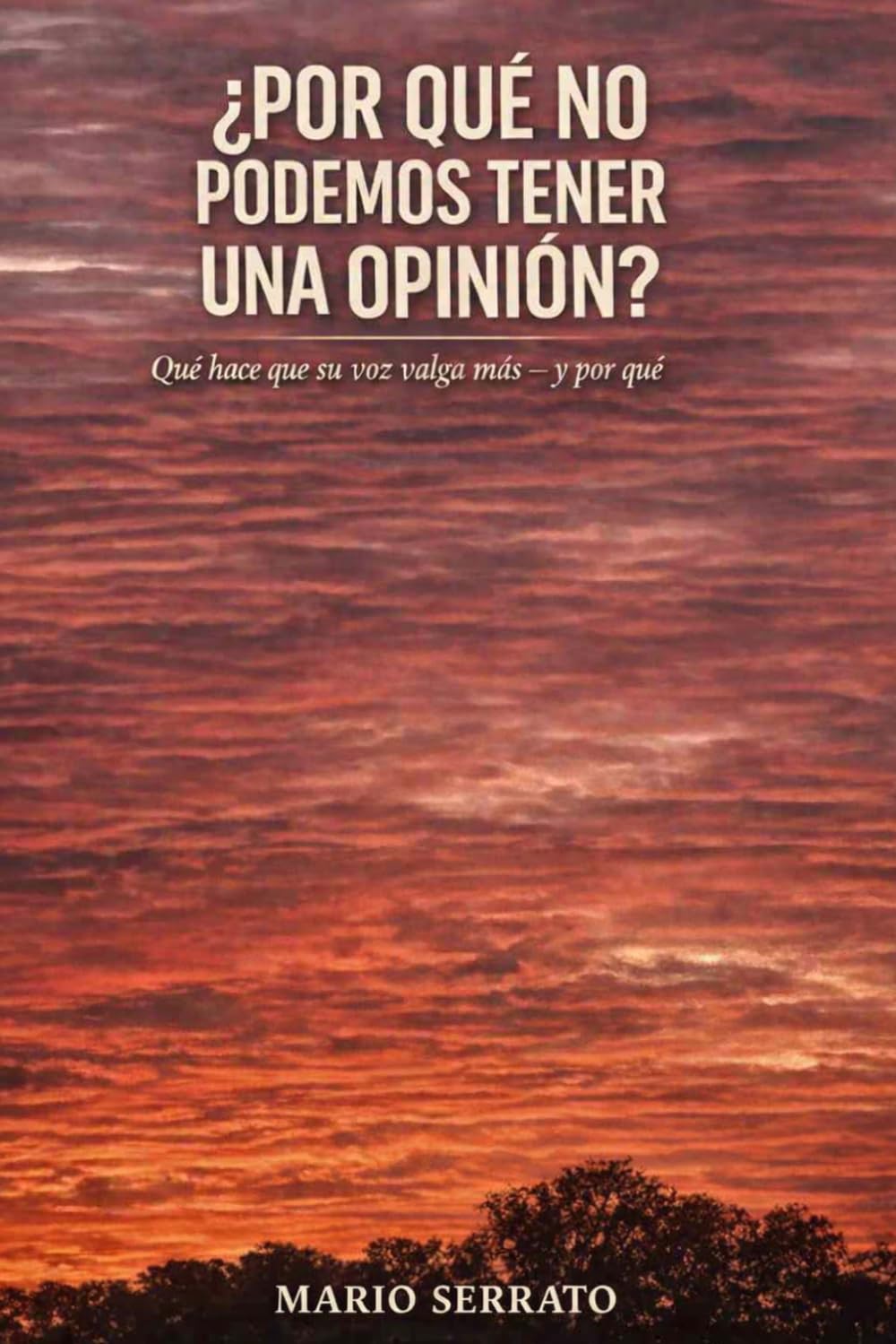 ¿POR QUÉ NO PODEMOS TENER UNA OPINIÓN?: Qué hace que su voz valga más — y por qué