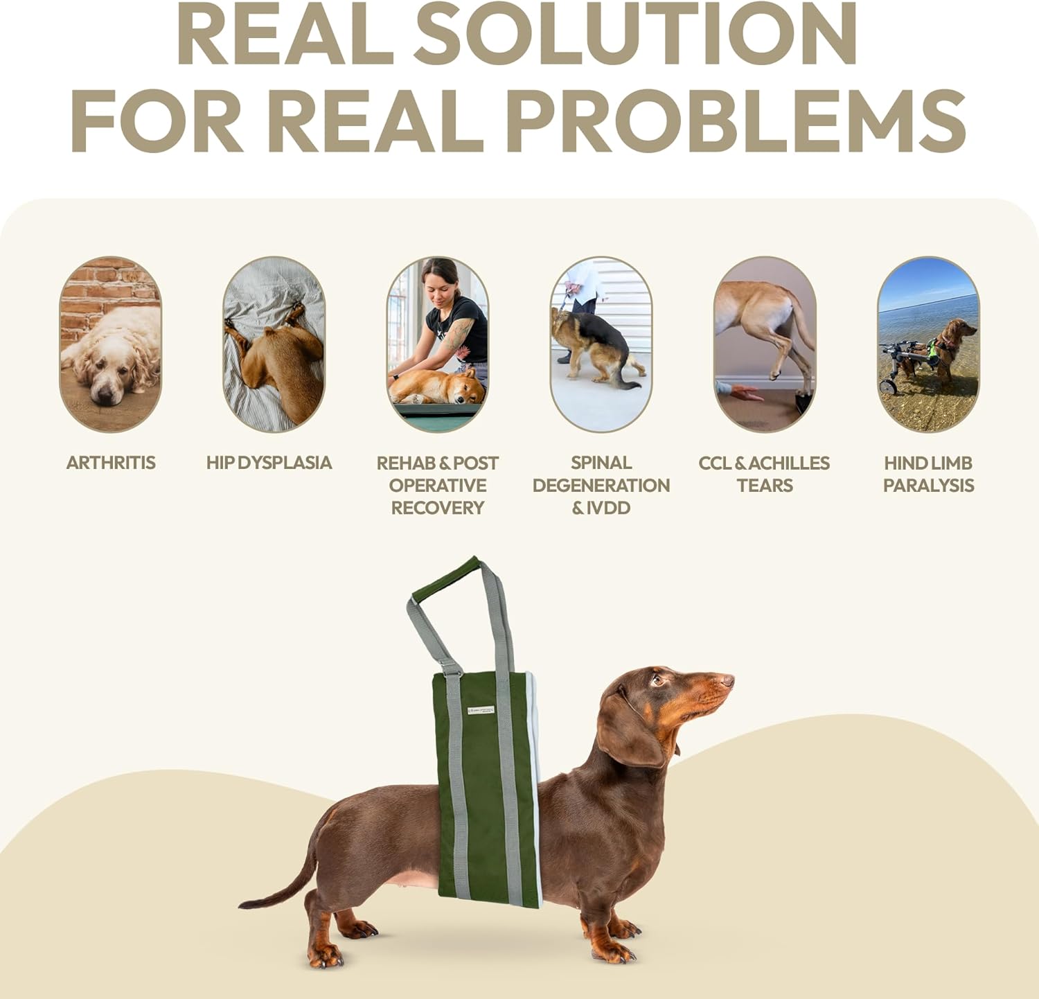 Dog Rear Lifting Sling (Small)