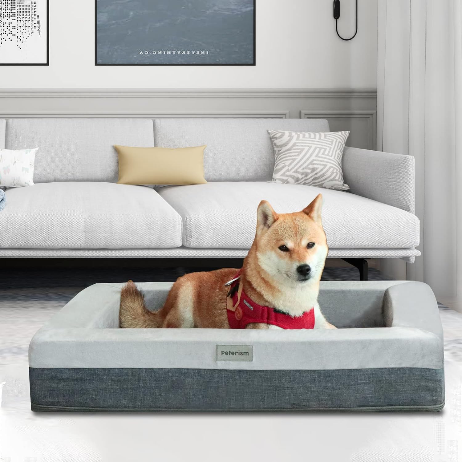 Peterism Dog Bed, Dog Mattress, Memory Foam pet Bed, Orthopedic Dog Bed, Various Sizes, Plush Dog Bed Suitable for All Kinds of pet Dogs. : Pet Supplies