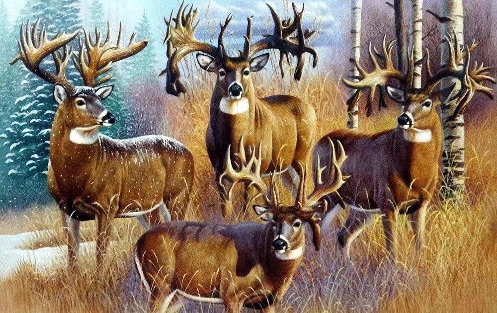 Rompecabezas de 300 piezas de madera para adultos, pintura de ciervo de cola blanca, arte de caza para niños y adultos, perfecto para la familia o