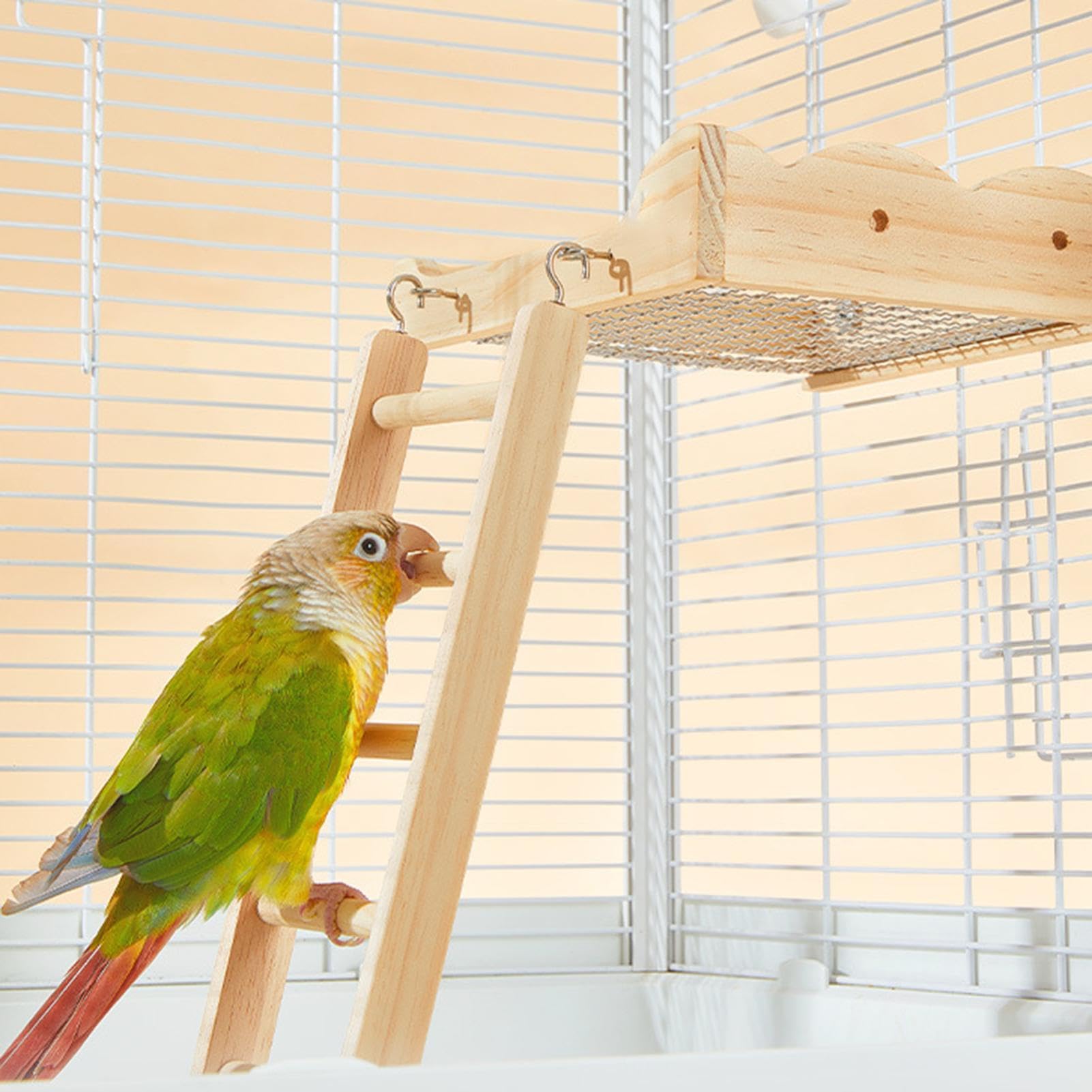 Générique Échelle pour Oiseaux en Bois Jouet avec Échelle d'Escalade