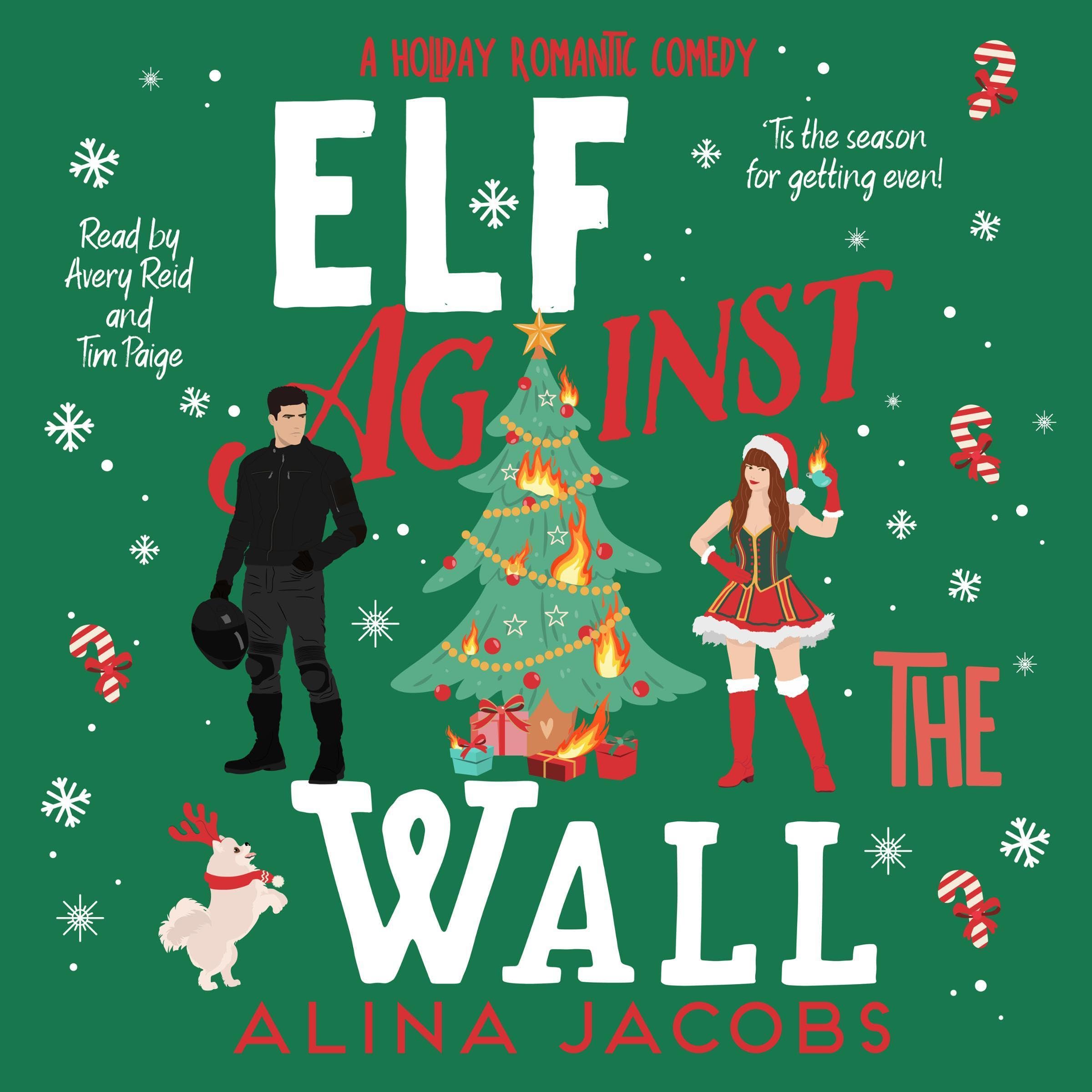 Cover art for Elf Against the Wall