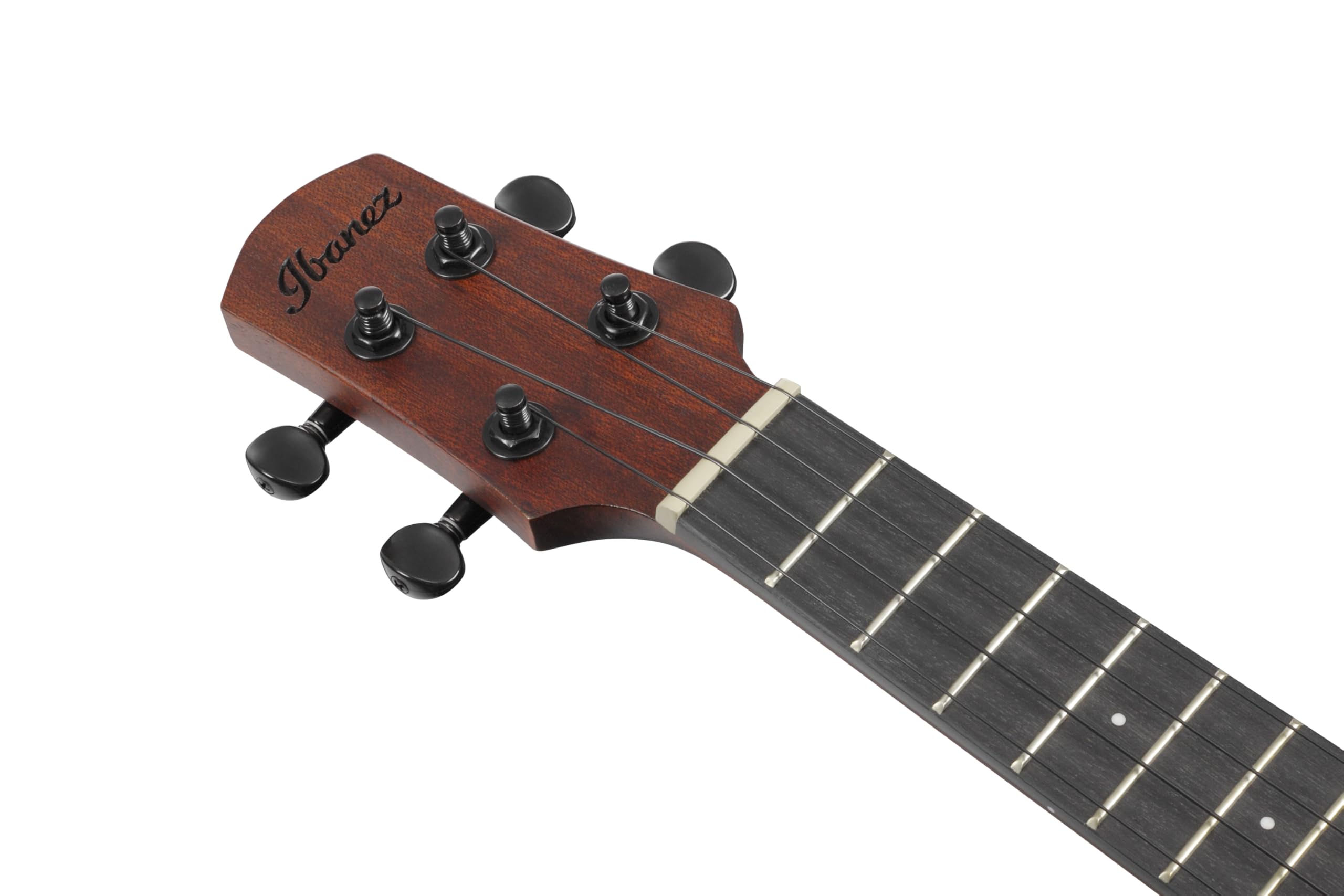 Ibanez AUC14-OVL Concert Ukulele - Ukulele concerto