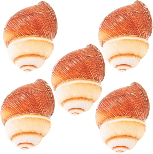 Miniatura 3 de PRETYZOOM 3sets Escargot Conchas Gruesas Hornear Caracol Conchas Estilo Francés Suministros Hogar Seguro Escargot Material de Cocina 5 unids*3