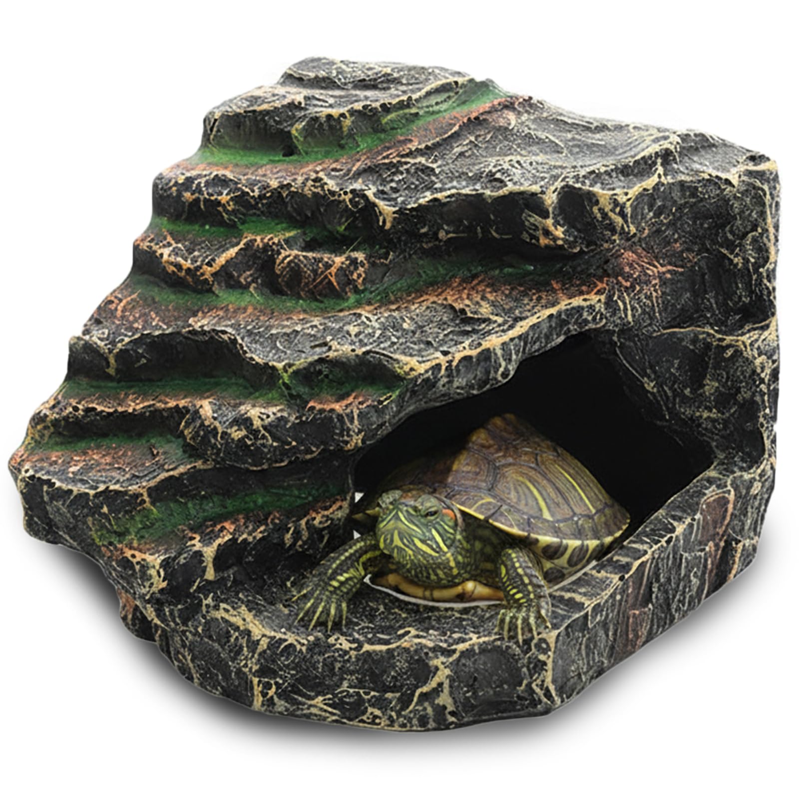 Amazon | Silver ＆ Style 爬虫類 隠れ家 シェルター 角 テラリウム