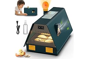 Incubators for Hatching Eggs: A Comprehensive Guide for Successful Birding