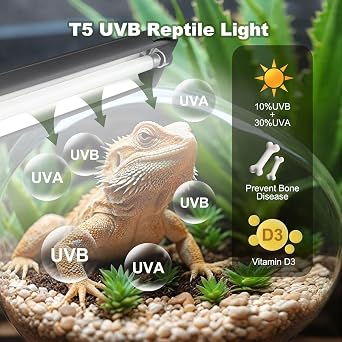 T5 UVB Reptile Light Fixture Combo Kit 8W,10.0 UVB Desert Lamp for Bearded Dragon Gecko Tortoise Lizard,Full Spectrum Terrarium Hood with Reptile Bulb,Essential Lighting for Reptile Cage Tank