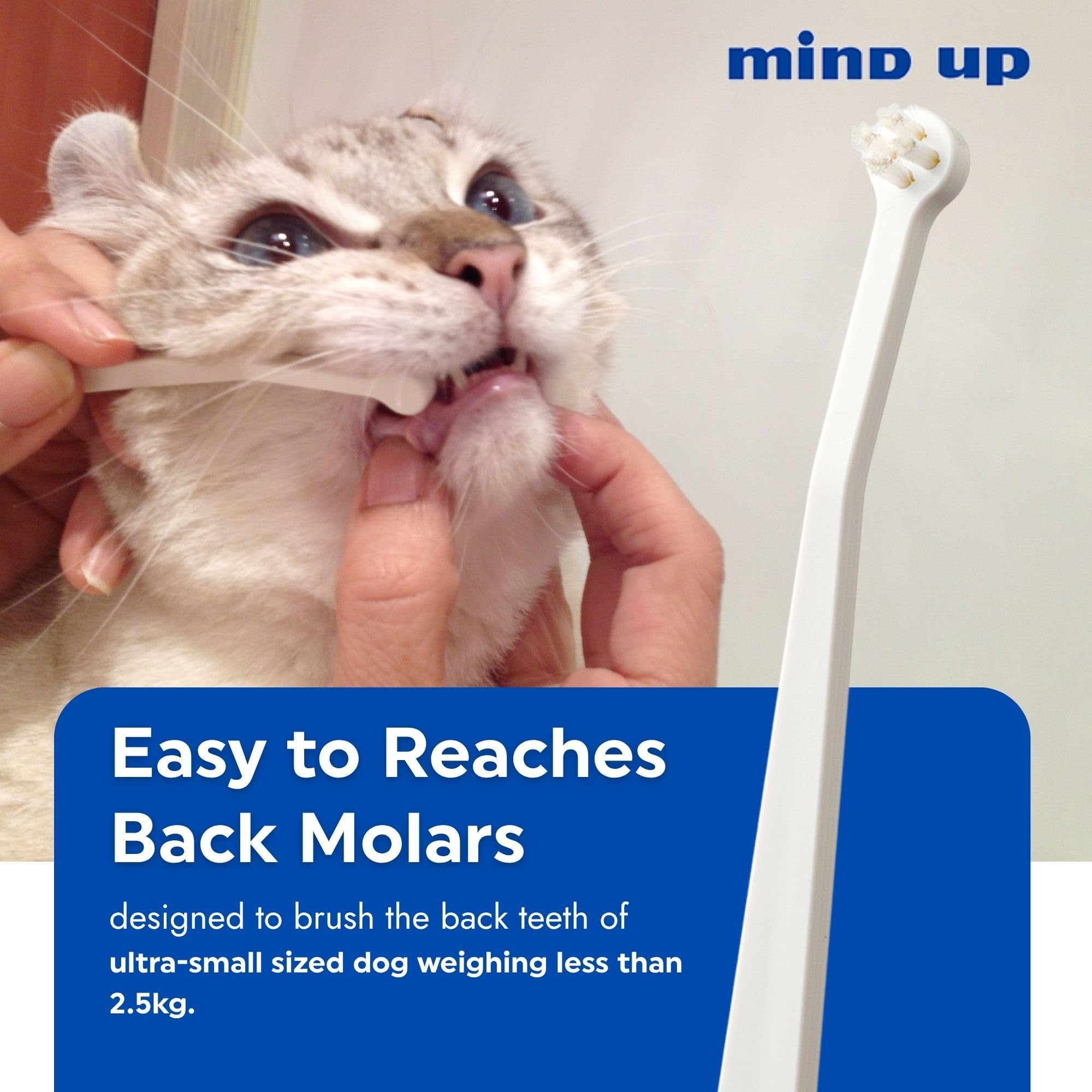 Mind Up Nyanko Care Toothbrush Micro Head (Japan Import)
