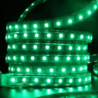 LED Strip Lights, Remote Control RGB LED Rope Light, Flexible, Dimmable, Waterproof AC 110-130V 60 LEDs/M 5050 SMD LED Tape Light, for Home Ourdoor Building Decoration(6.6ft)
