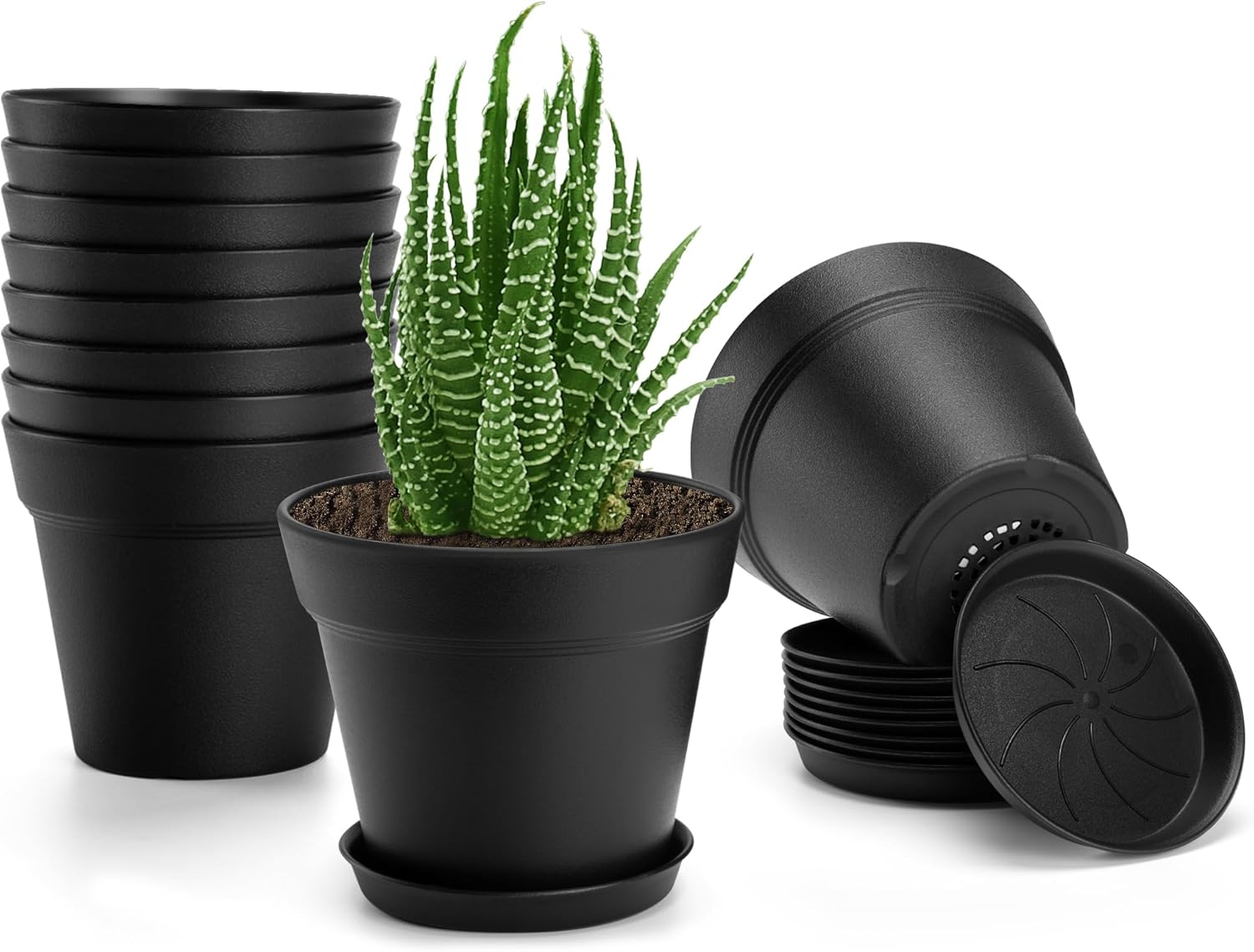 10 Pack Plastic Plant Pots with Drainage Holes and Tray, 6 inch Thickened Indoor Planters Seedlings Nursery Pots for Flowers, African Violet, Succulent and All House Plants, Black 10 Pack-6in Black