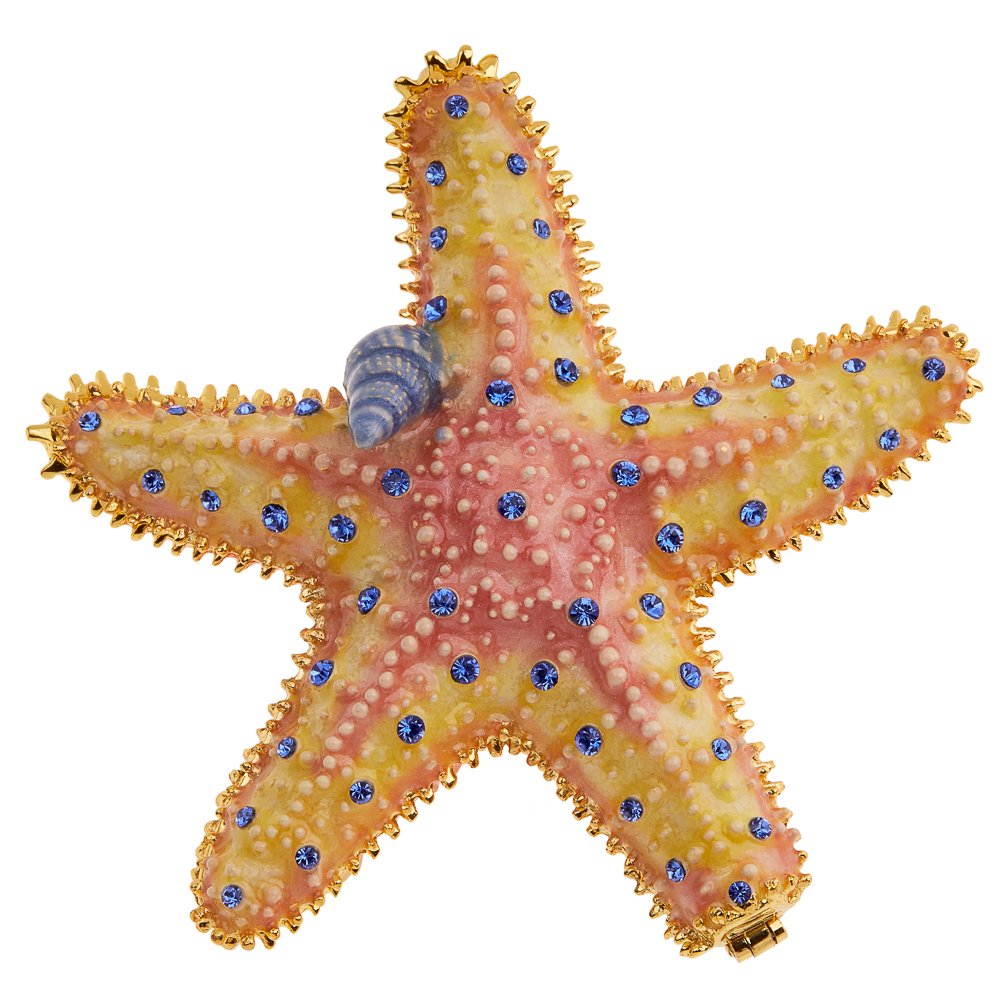 RUCINNIRUCINNI Starfish & Sea Shell Jewel Box