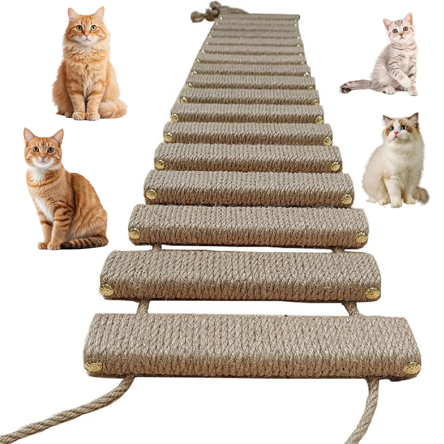 Sisalseil Katzenleiter 100 cm, Kletterleiter & Katzentreppe für Wand, Balkon, Innen & Außen, Kratzbaum Ersatz mit Kletternetz, Hängebrücke für Katzen Aktivität, Für Hauskatzen, für Wohnung & Garten
