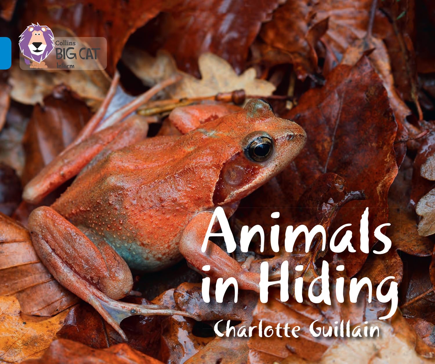 Animals in Hiding by Charlotte Guillain PAPERBACK 9780007512850