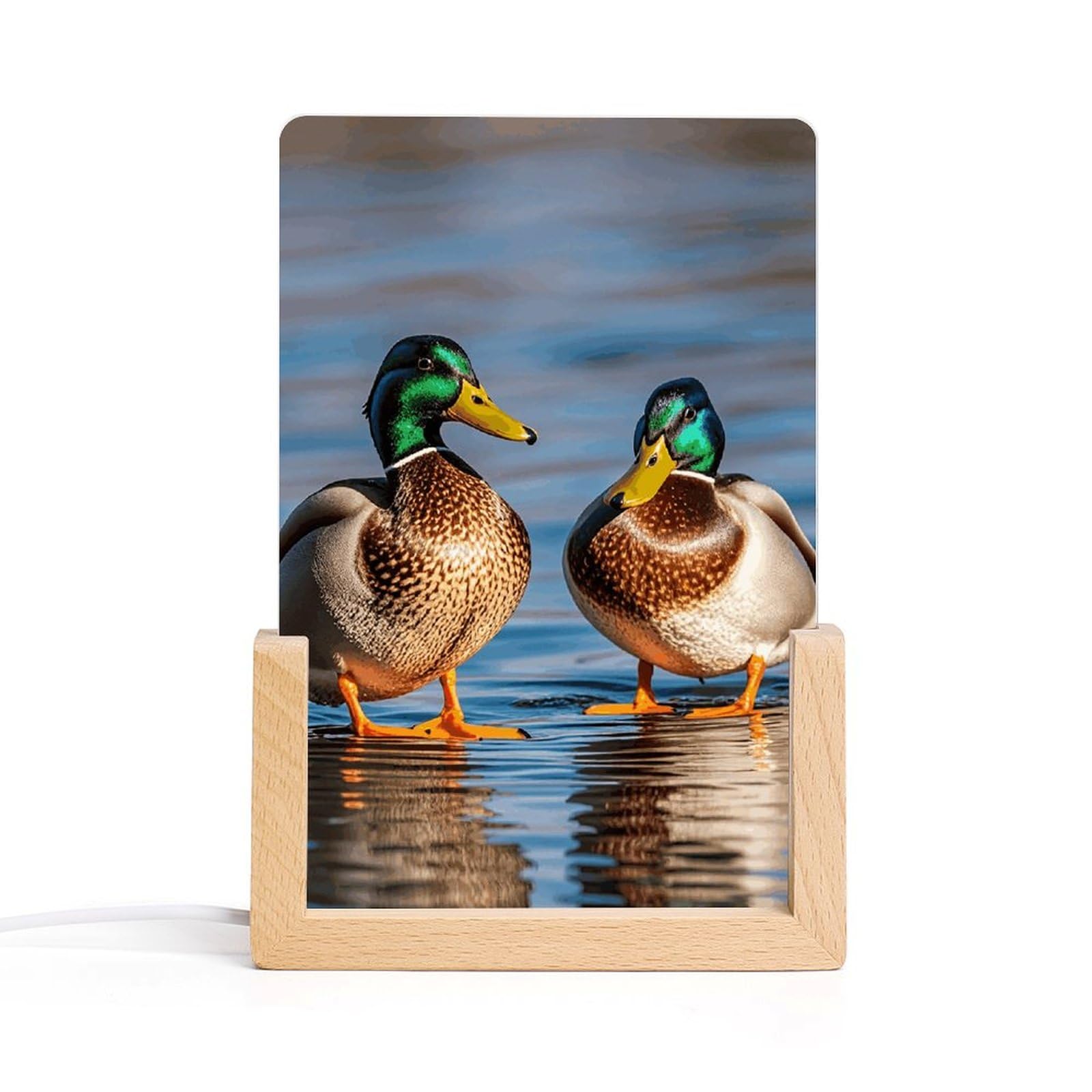 LYHVSFJW Two Mallard Ducks Night Light LED Small Desk Lamp Acrylic Photo Frames Night Lights Decorative Sleep Nightlight USB Bedside Lamp for Living Room Bedrooms Offices