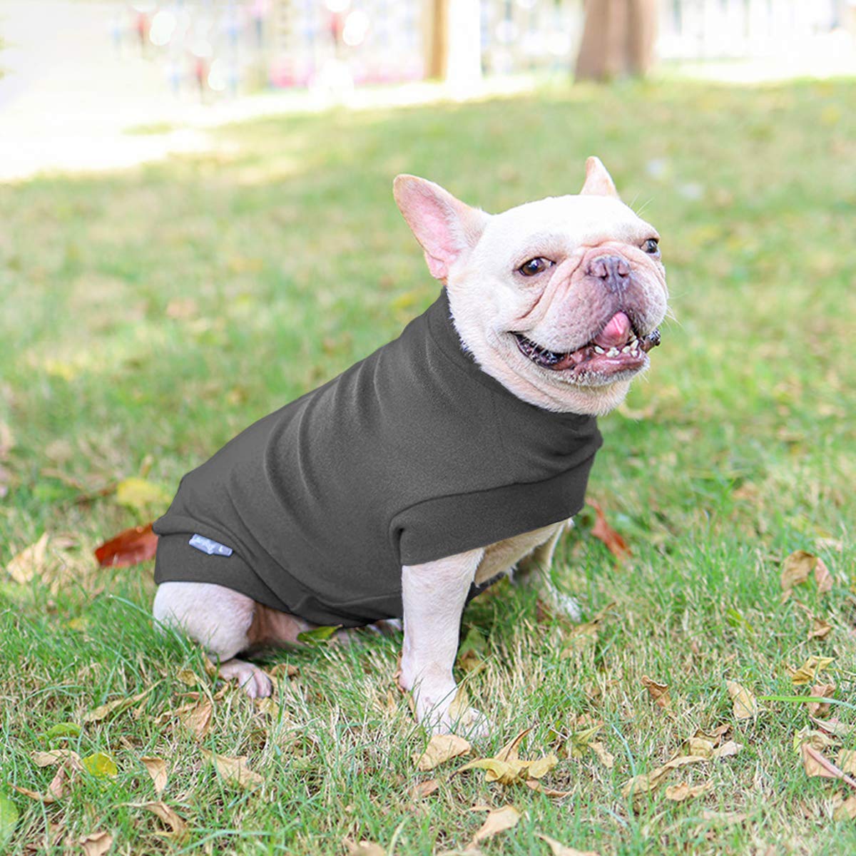 Jersey para Perro Pequeño- Ropa para Perros y Gato Chaleco Suéter para Invierno para Perro Mascotas pequeño y medianos Gris M