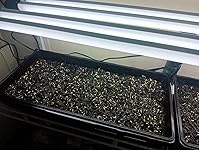 Review Image by Roy Sanford