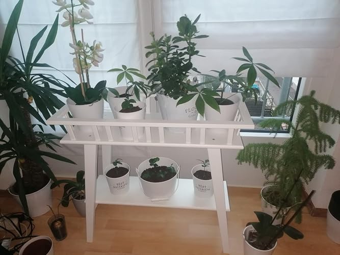 Ikea LANTLIV Flower Stand 68 cm White : Amazon.com.be: Garden