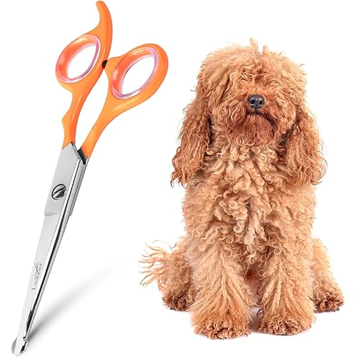 Rounded dog scissors Professional - Sharp Stainless Steel Blades with Colorful Handles, Safe and Easy-to-Use pet scissors for dogs, Long Lasting grooming scissors for dogs at home