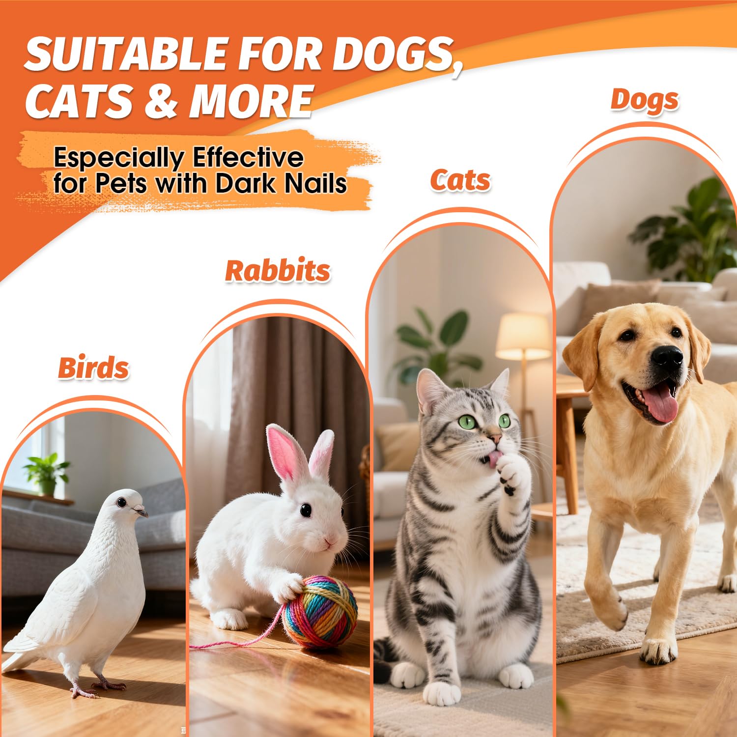 PAW PLANET Styptic - Polvo para perros y gatos con kit de cortaúñas, 49,90 g | Para recortar uñas, fácil aplicación de polvo, adecuado para rutinas de aseo doméstico