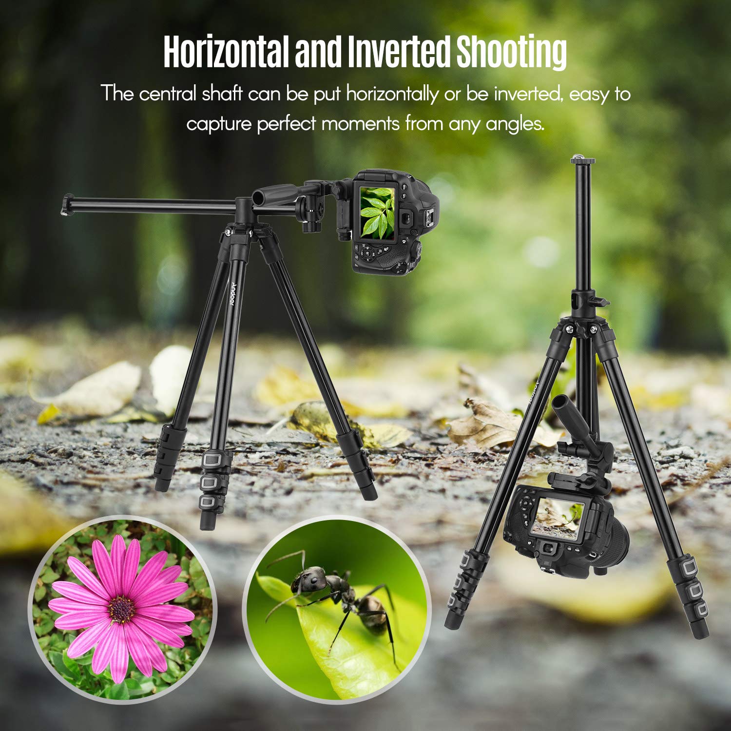 Andoer Treppiede per Fotocamera con colonna centrale Transversal, con testa girevole e inclinabile a 3 vie per fotocamere DSLR, videocamere, mini proiettore