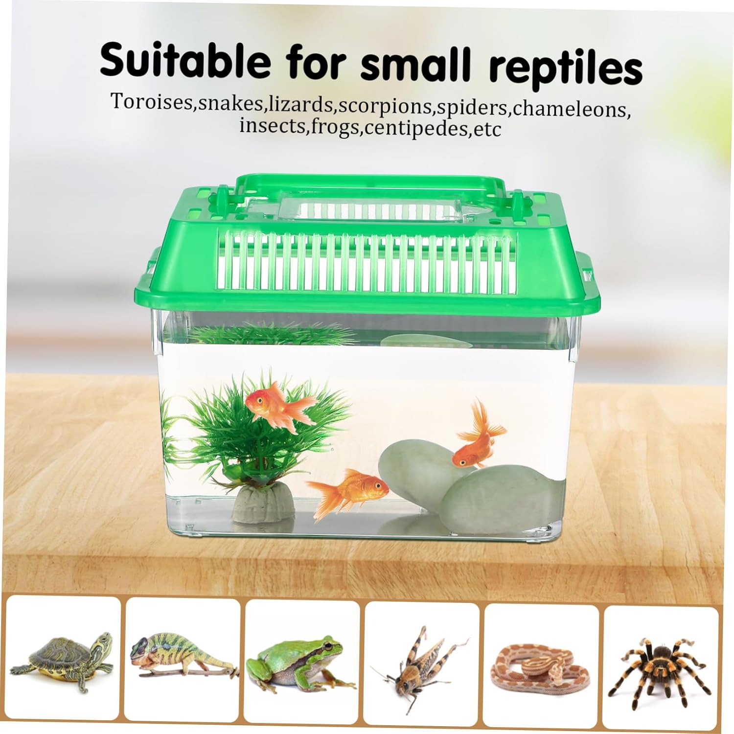 5pcs Transparent Plastic Handheld Fish Tank Multi-Purpose Aquarium for Small Fish Turtles and Reptiles Portable Mixed Colors