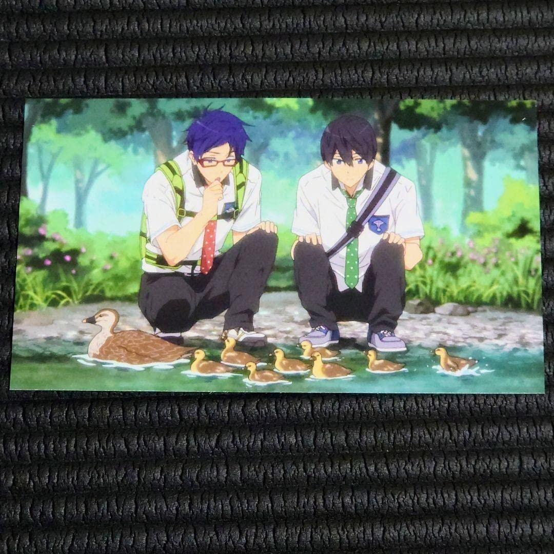 Amazon.co.jp: Anime Free! - Eternal Summer - End Card Postcard