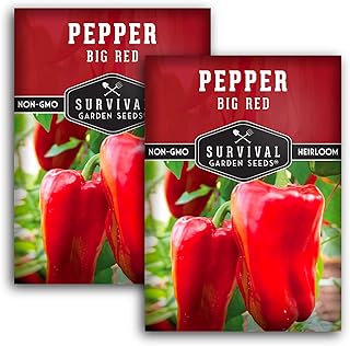 Big Red Bell Pepper Seeds for Planting | Heirloom Sweet Thick-Walled Red Bell Peppers – Non-GMO Open-Pollinated – Survival Garden Seeds (2 Pack)