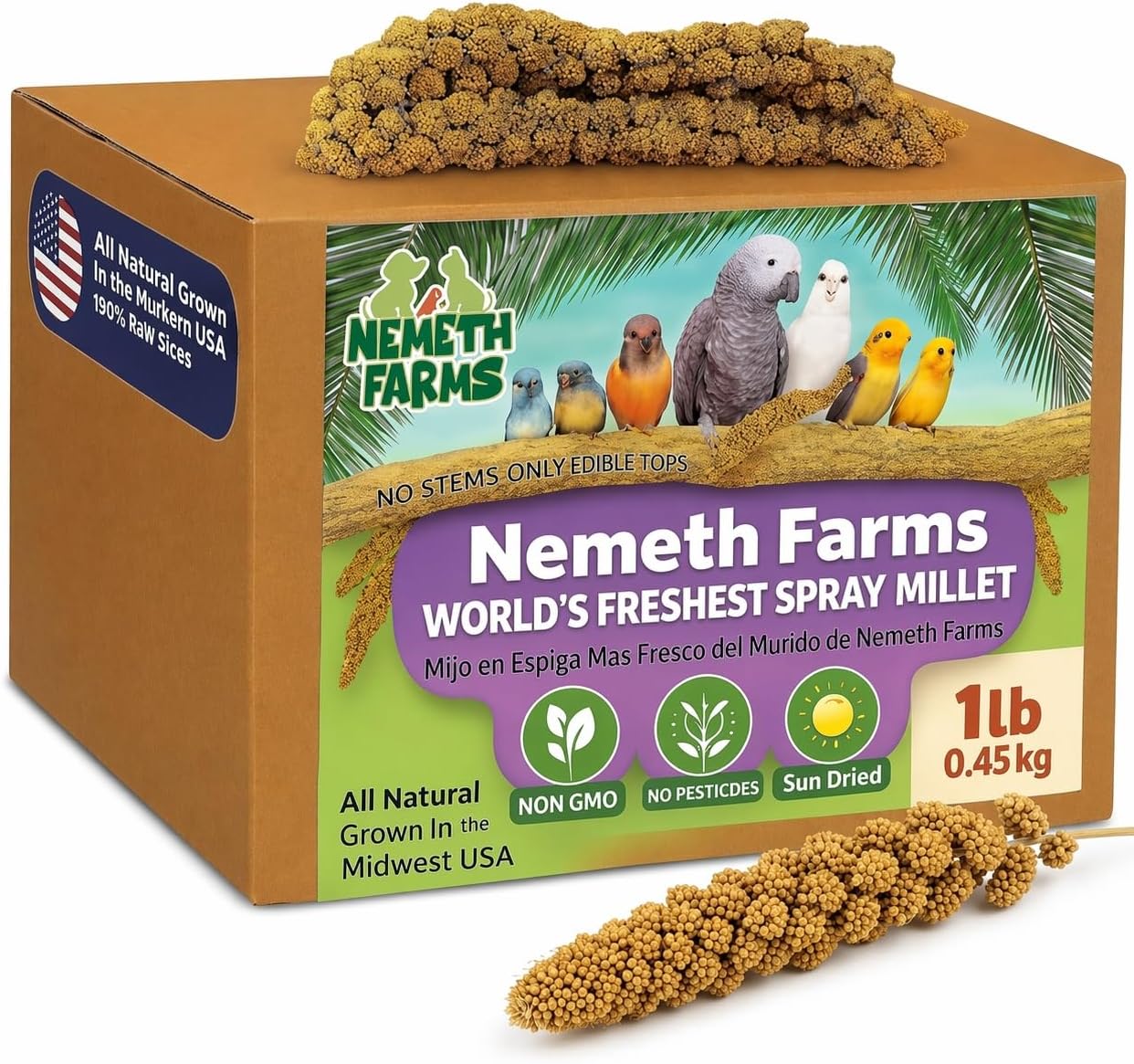 USA Grown Spray Millet for Birds – Midwest Harvest, 1 lb Premium 100% Natural, Sun-Dried Non-GMO Whole Millet Sprays, Bird Treat for Parakeets, Budgies, Cockatiels, Conures, Lovebirds & Finches