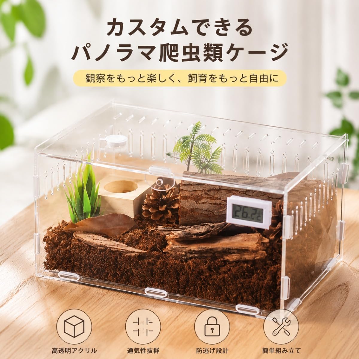 Amazon | AGTEA カブトムシ飼育ケース クワガタ・ヘラクレスオオカブト
