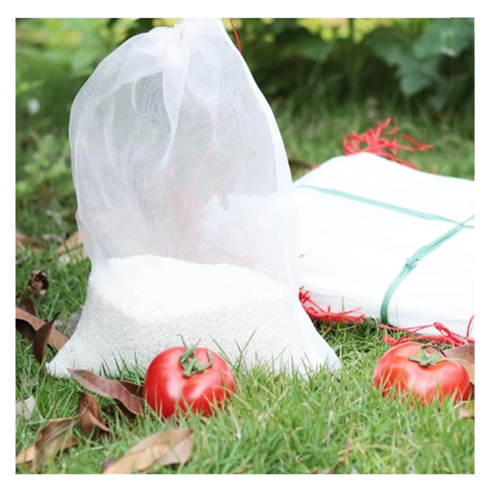 Bolsas Protectoras contra Insectos para Uvas, Bolsas de Malla for Frutas, Verduras y Uvas (50 Unidades, 15 x 10 cm - 35 25 cm)(25x15cm)
