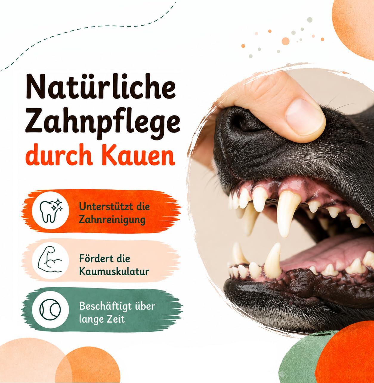 Rinderstrossen XXL für Hunde 5 kg, 35–40 cm extra große Hundekauartikel, 100% Natur Kausnack & Kauartikel getreidefrei, hypoallergen Zahnpflege Snack, proteinreich & Barf geeignet von Lucze