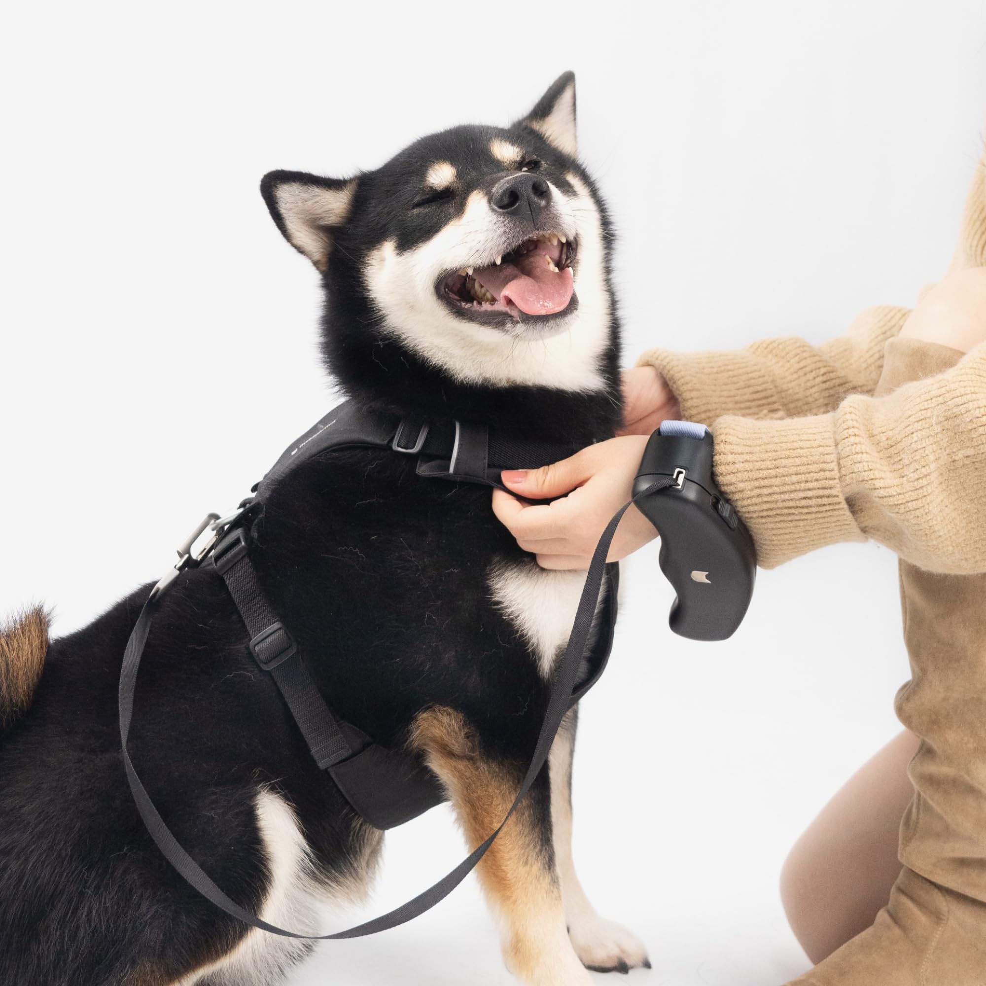 Einziehbare Hundeleine & Katzenleine für kleine Hunde und Katzen bis 15 kg, 1,7 m Rollleine mit Komfortgriff, Schnellbremse, Sicherem Schloss, 360° Verwicklungssicher (Schwarz, S)
