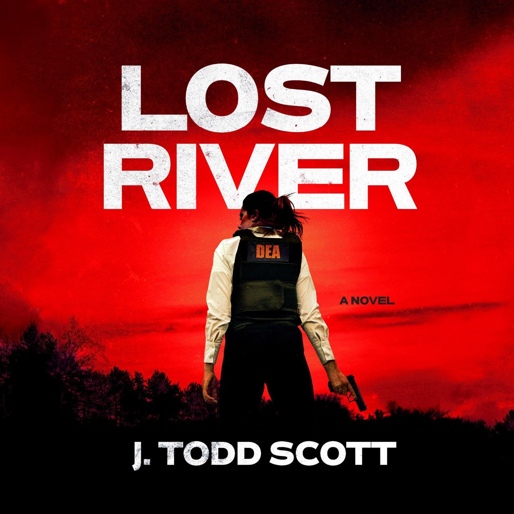 Cover art for Lost River