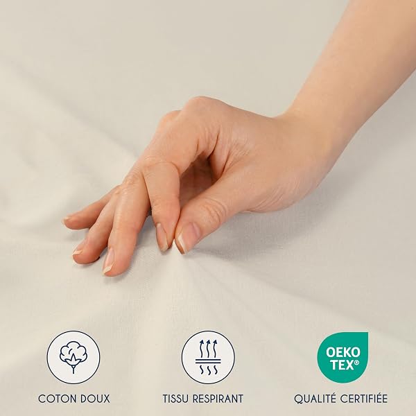 Dreamzie - Drap Housse 160 x 200 - Beige - 100% Jersey Coton Certifié Oeko Tex - Drap Housse 160x200 Coton - 5