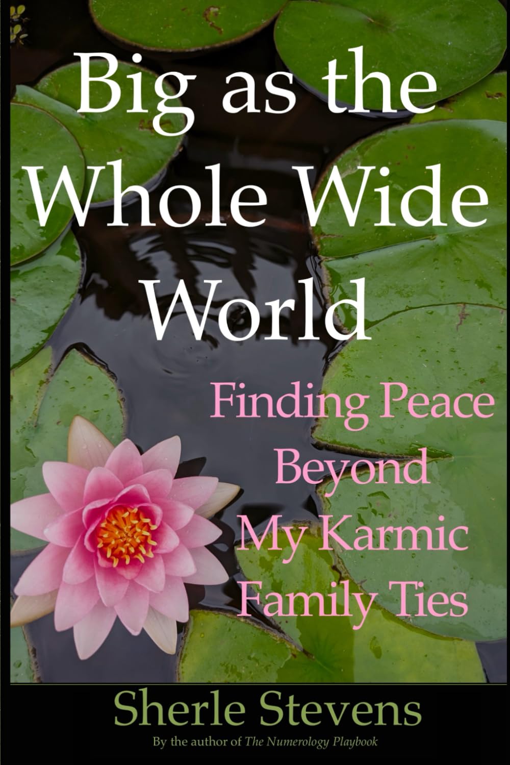 Big as the Whole Wide World: Finding Peace Beyond My Karmic Family Ties