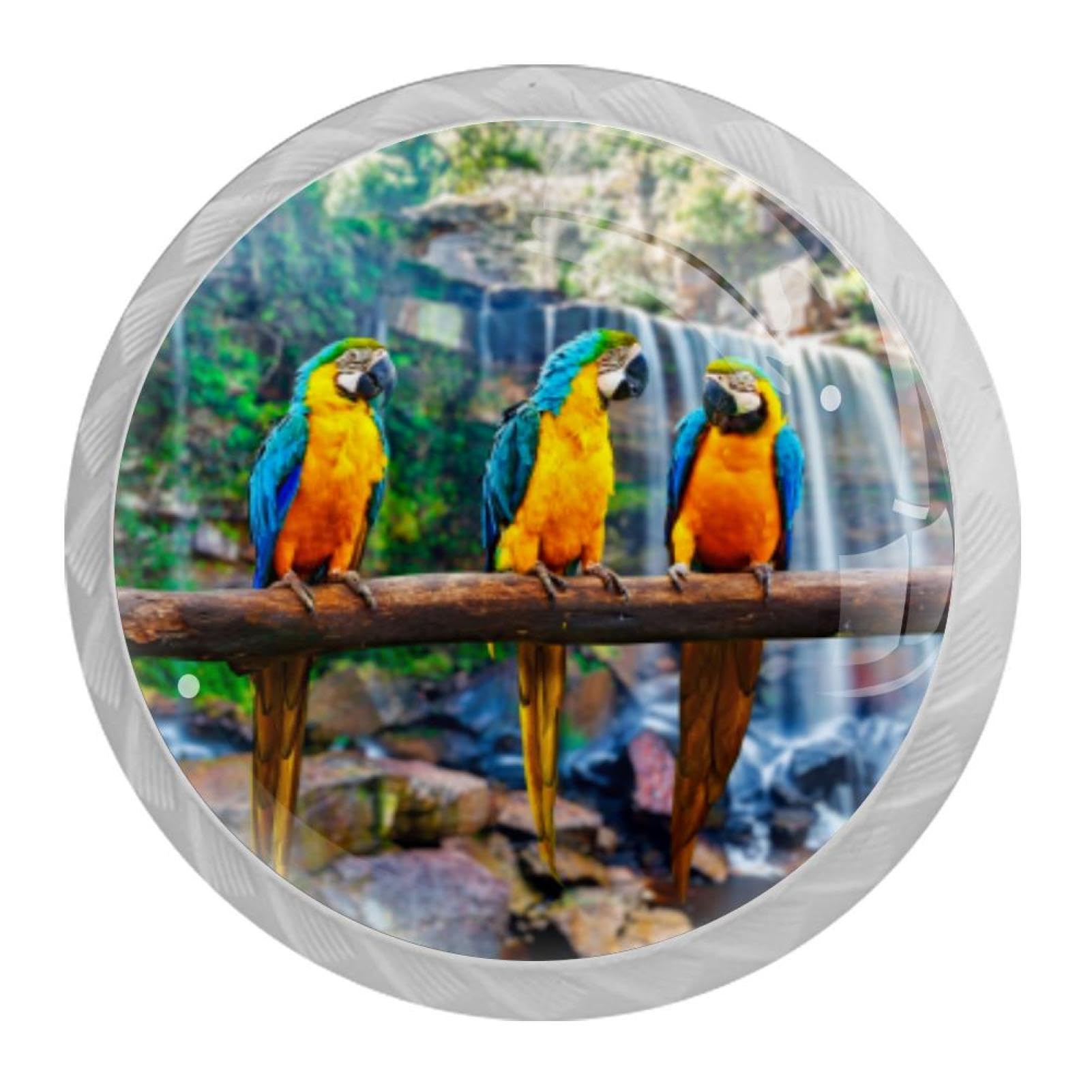 Tqmspg Multi07 4 Pieces Drawer Pulls Birds Door Knobs Dresser Handles For Kitchen Wardrobe Cupboard Hardware Furniture