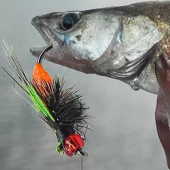 Amazon.co.jp: Wuasrgih ドライフライフィッシングフライ