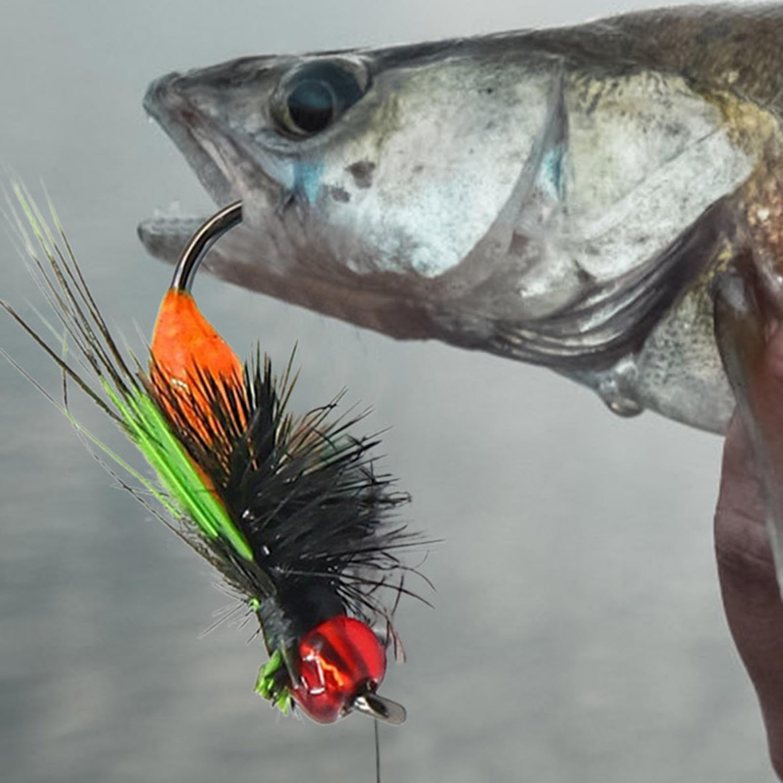 渓流ルアー・フライフィッシングVHSビデオ 渓流ルアー・フライ