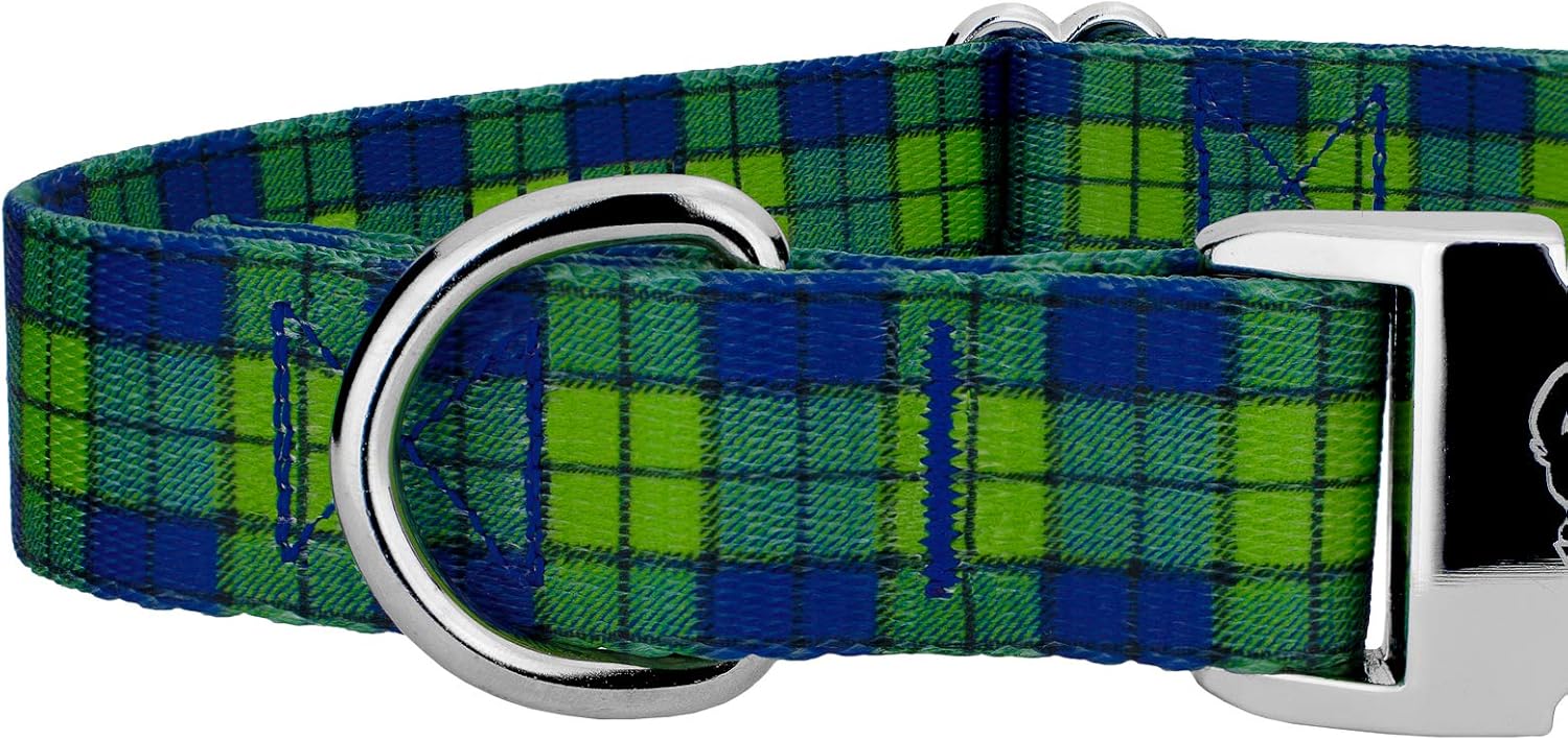Country Brook Petz - Premium Blue and Green Plaid Dog Collar and Leash - Plaid and Argyle Collection Featuring Charming Designs (1 Inch, Large)