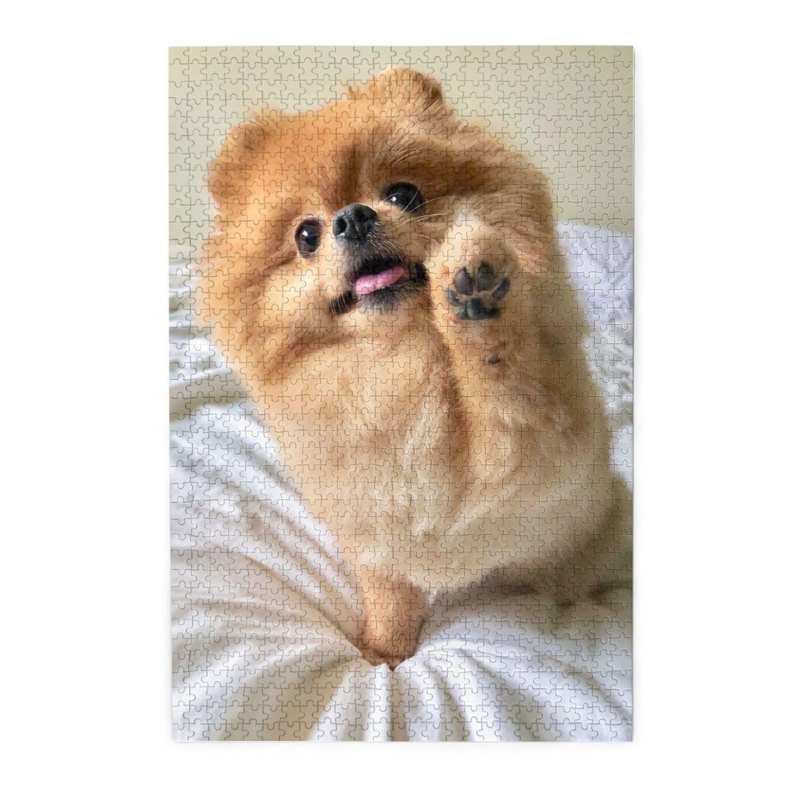 Amazon.co.jp: 1000ピース ジグソーパズル ポメラニアン犬 木製 50