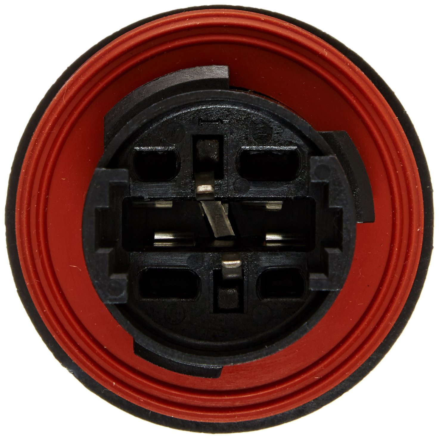 Amazon.com: GM 92227778 Turn Signal and Parking Lamp Socket  