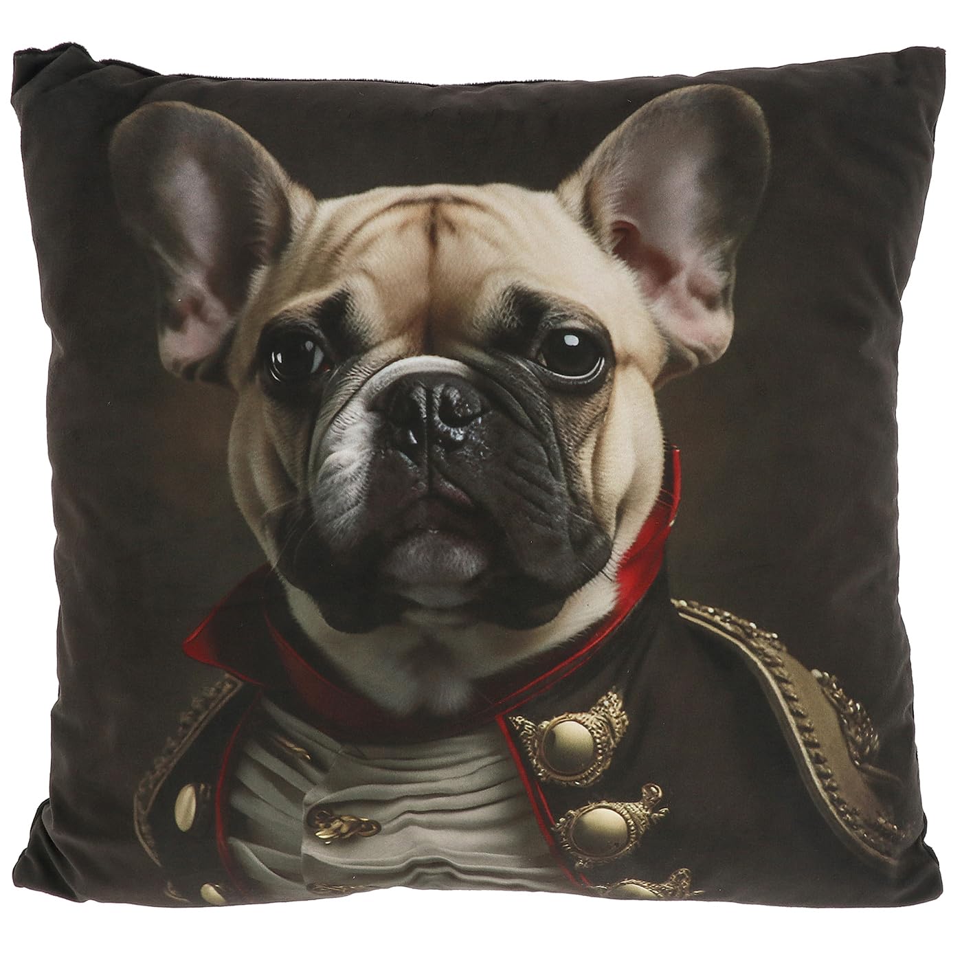 Shudehill Giftware Top Dog Cushion Collection - Labrador, Schnauzer, Frenchie, Poodle & More (Tan Frenchie)