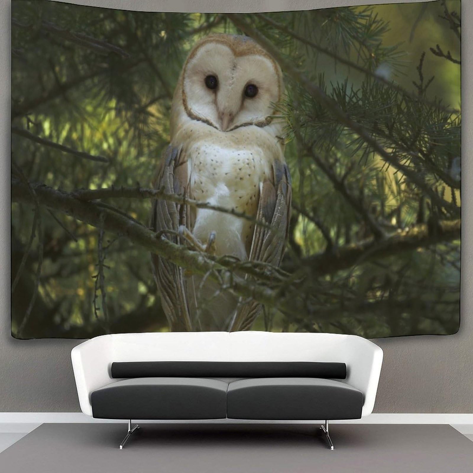 kaiyun Barn Owl Tapestry Bedroom Aesthetic Indie Wall Room Decor Animal Wall Hanging,Wall Art 70cmx100cm