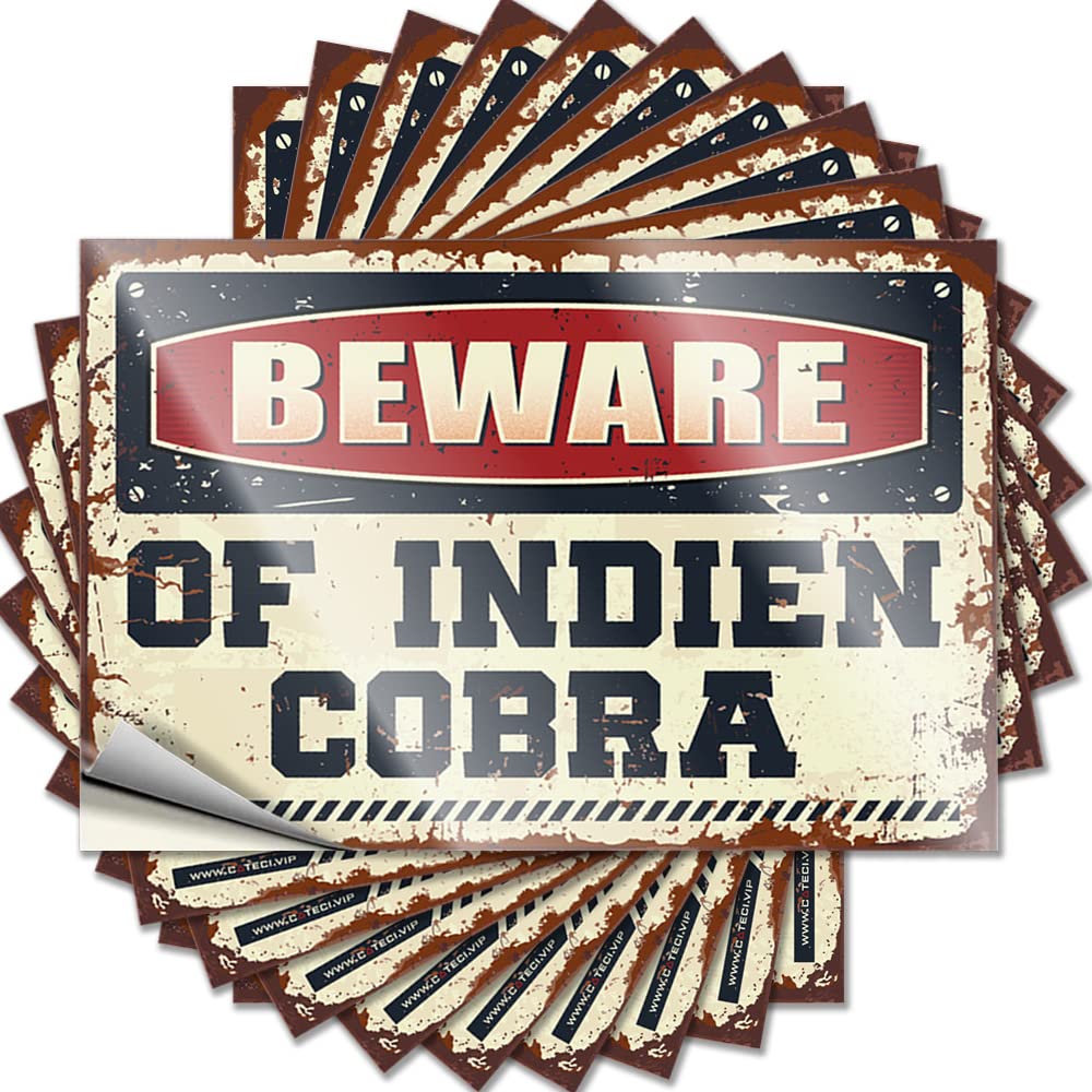 Fzfn Colour Sets Funny Sticker - Inspirational Dart Helmet Beware Of Indien Cobra(8X12cm)