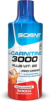 L Carnitin Liquid - L Carnitin 3000 - L-Carnitin Liquid - L-Carnitin Hochdosiert - L Karnitin 3000 mg (500 ml) (Cola)