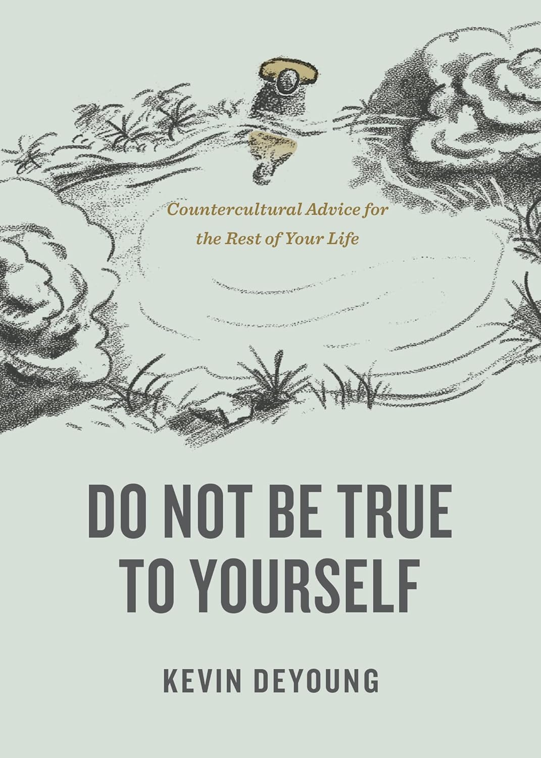 Do Not Be True to Yourself: Countercultural Advice for the Rest of Your Life 