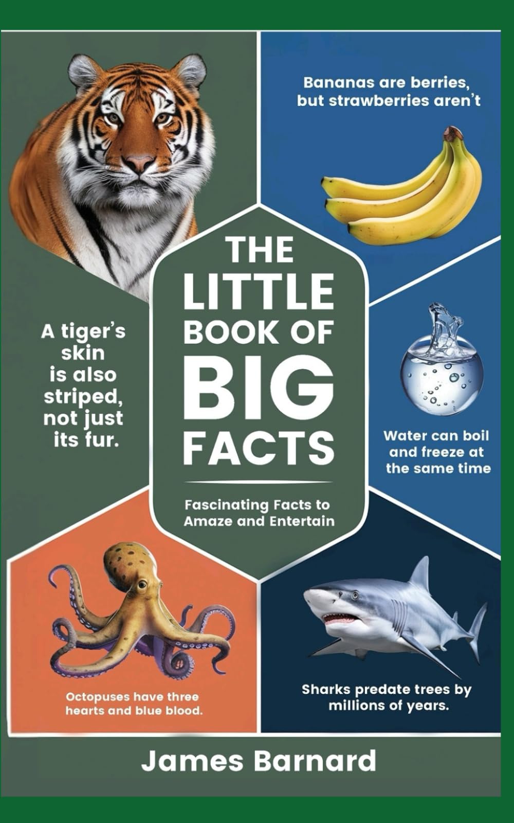 The Little Book of Big Facts: 300 Fascinating Facts to Amaze and Entertain