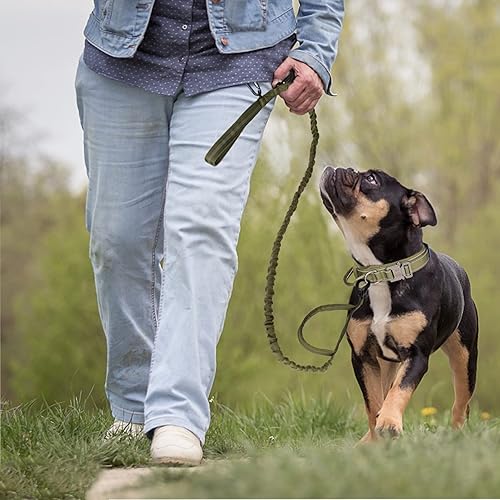 Miniatura 6 de KCUCOP - Collar táctico para perro, collar militar para perro, collares para perro Tactipup, ajustable, hebilla de metal resistente para perros M, L