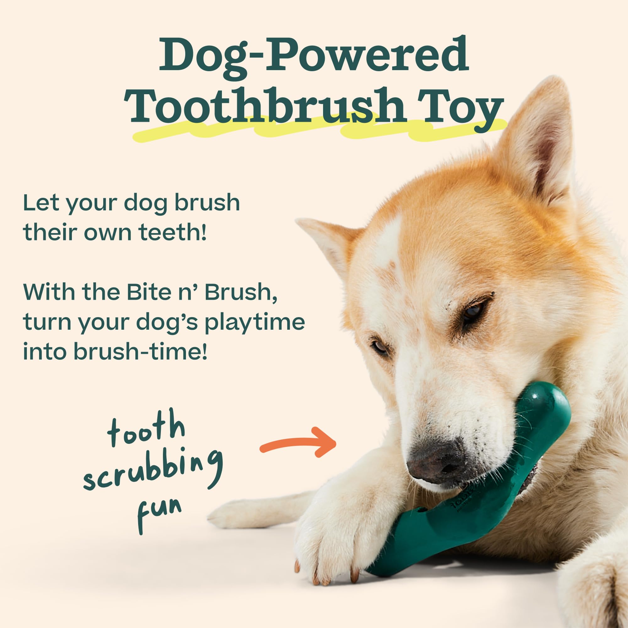 WOOF - Bite n' Brush Nachfüller für das Hundezahnbürstenspielzeug – Schrubben Sie Plaque und Zahnstein von den Zähnen und Mund Ihres Hundes – Kauspielzeug für Hunde – Leckerlis für Hunde – ca. 16